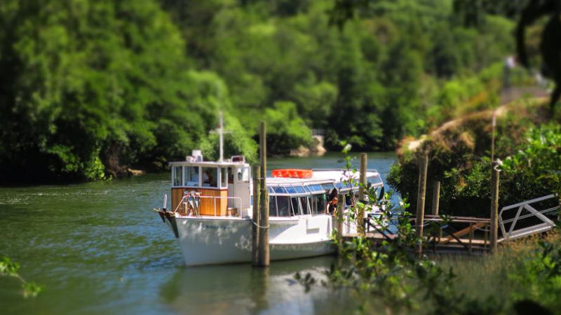 Leave the hustle and bustle of city life behind for a delightful lunch & wine tasting as on the mighty Waikato River!